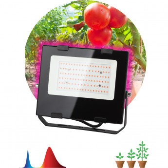 Фитопрожектор для растений светодиодный ЭРА FITO-50W-RB-LED для цветения и плодоношения красно-синего спектра 50 Вт Фитопрожектор для растений светодиодный ЭРА FITO-50W-RB-LED для цветения и плодоношения красно-синего спектра 50 Вт